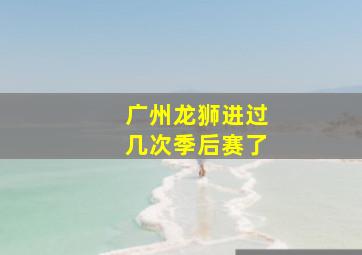 广州龙狮进过几次季后赛了