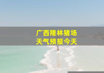 广西隆林猪场天气预报今天