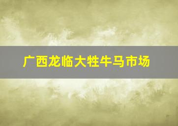 广西龙临大牲牛马市场