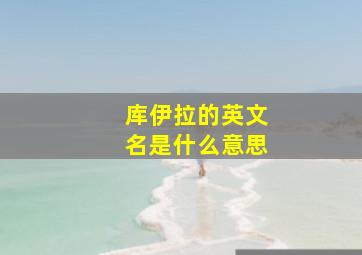 库伊拉的英文名是什么意思