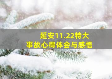 延安11.22特大事故心得体会与感悟