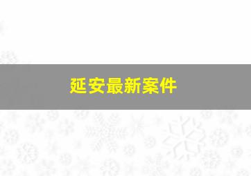 延安最新案件