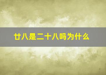 廿八是二十八吗为什么