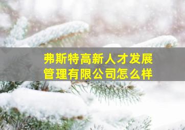 弗斯特高新人才发展管理有限公司怎么样