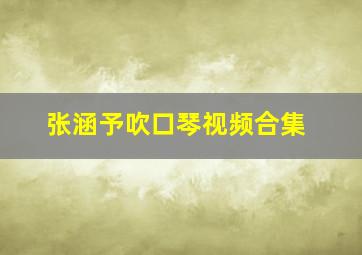 张涵予吹口琴视频合集