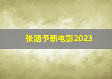 张涵予新电影2023