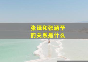 张译和张涵予的关系是什么