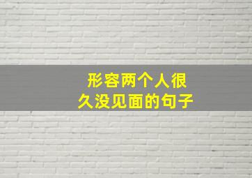 形容两个人很久没见面的句子