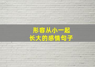 形容从小一起长大的感情句子