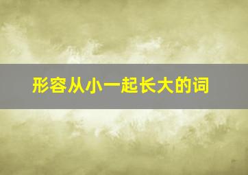 形容从小一起长大的词