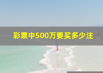 彩票中500万要买多少注