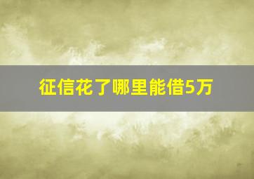 征信花了哪里能借5万