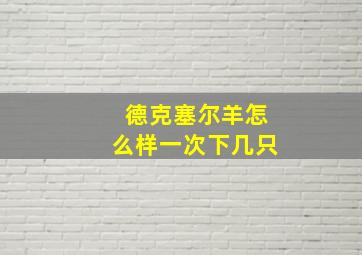 德克塞尔羊怎么样一次下几只