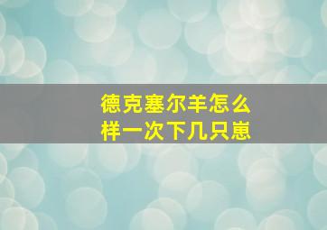 德克塞尔羊怎么样一次下几只崽