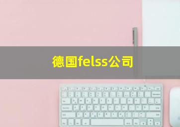 德国felss公司