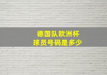 德国队欧洲杯球员号码是多少