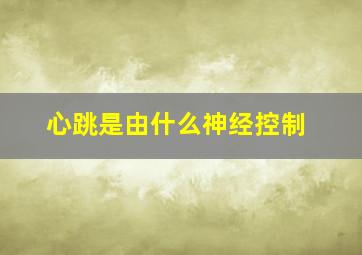 心跳是由什么神经控制