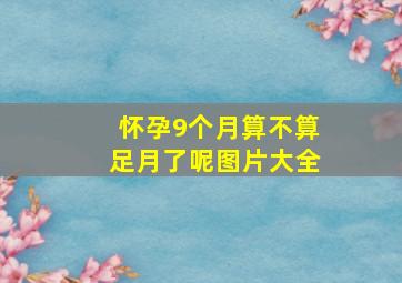 怀孕9个月算不算足月了呢图片大全