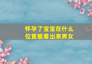 怀孕了宝宝在什么位置能看出来男女