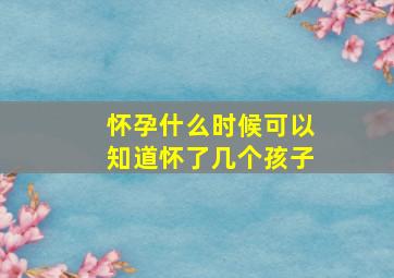 怀孕什么时候可以知道怀了几个孩子