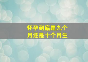 怀孕到底是九个月还是十个月生