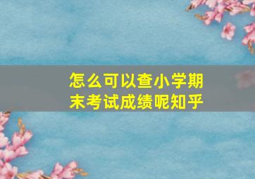 怎么可以查小学期末考试成绩呢知乎