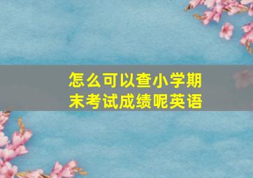 怎么可以查小学期末考试成绩呢英语