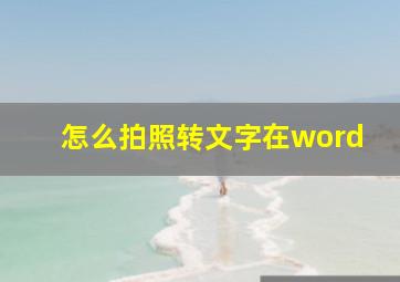 怎么拍照转文字在word