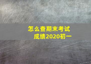 怎么查期末考试成绩2020初一