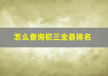 怎么查询初三全县排名