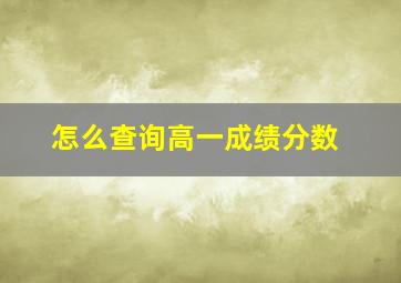 怎么查询高一成绩分数