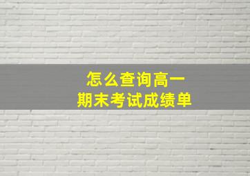 怎么查询高一期末考试成绩单