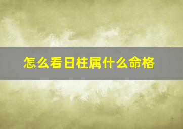 怎么看日柱属什么命格