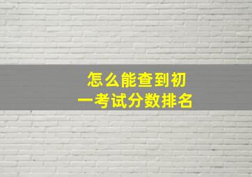 怎么能查到初一考试分数排名