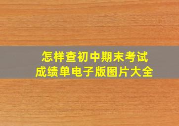 怎样查初中期末考试成绩单电子版图片大全