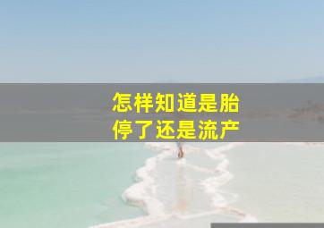 怎样知道是胎停了还是流产