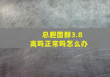 总胆固醇3.8高吗正常吗怎么办