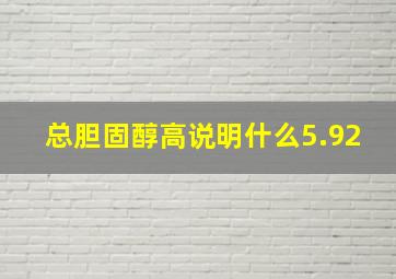 总胆固醇高说明什么5.92