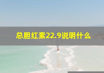 总胆红素22.9说明什么