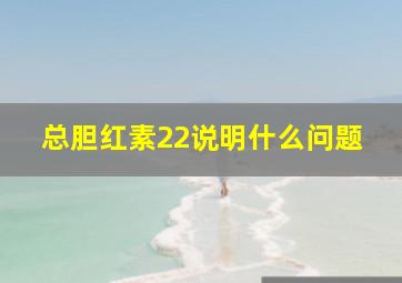 总胆红素22说明什么问题