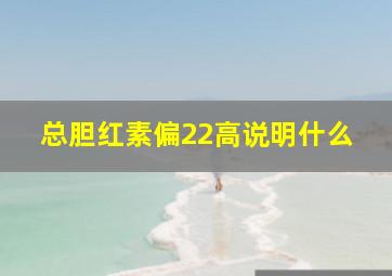 总胆红素偏22高说明什么