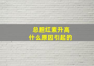 总胆红素升高什么原因引起的