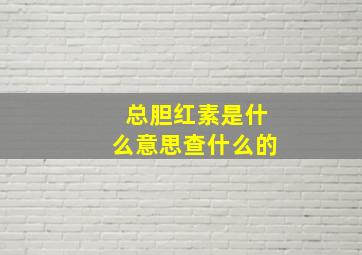 总胆红素是什么意思查什么的