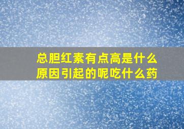 总胆红素有点高是什么原因引起的呢吃什么药