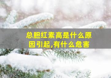 总胆红素高是什么原因引起,有什么危害