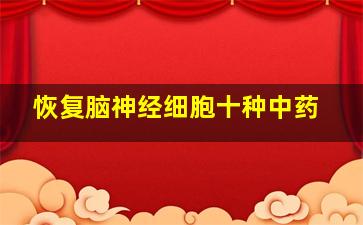 恢复脑神经细胞十种中药