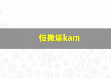 恺撒堡kam