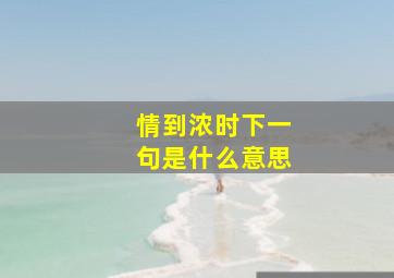 情到浓时下一句是什么意思