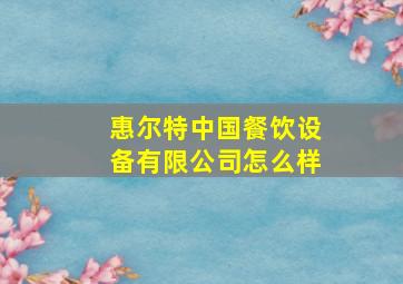 惠尔特中国餐饮设备有限公司怎么样