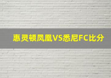 惠灵顿凤凰VS悉尼FC比分